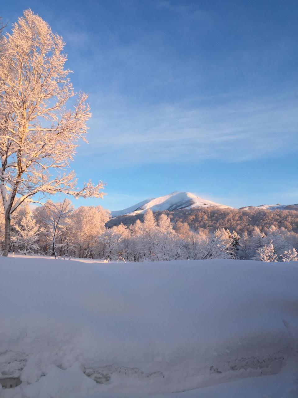 Niseko Guesthouse Nalu. Exterior photo
